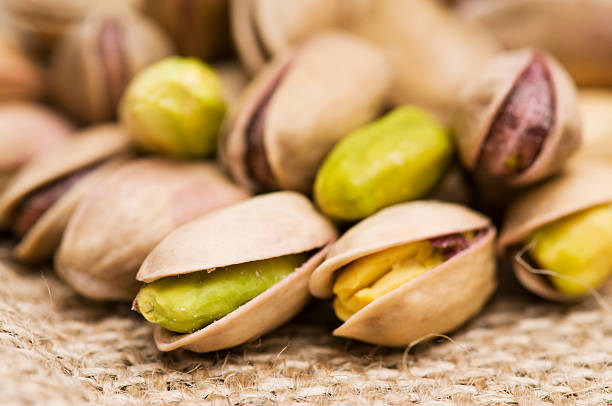 شركة نبع الودق