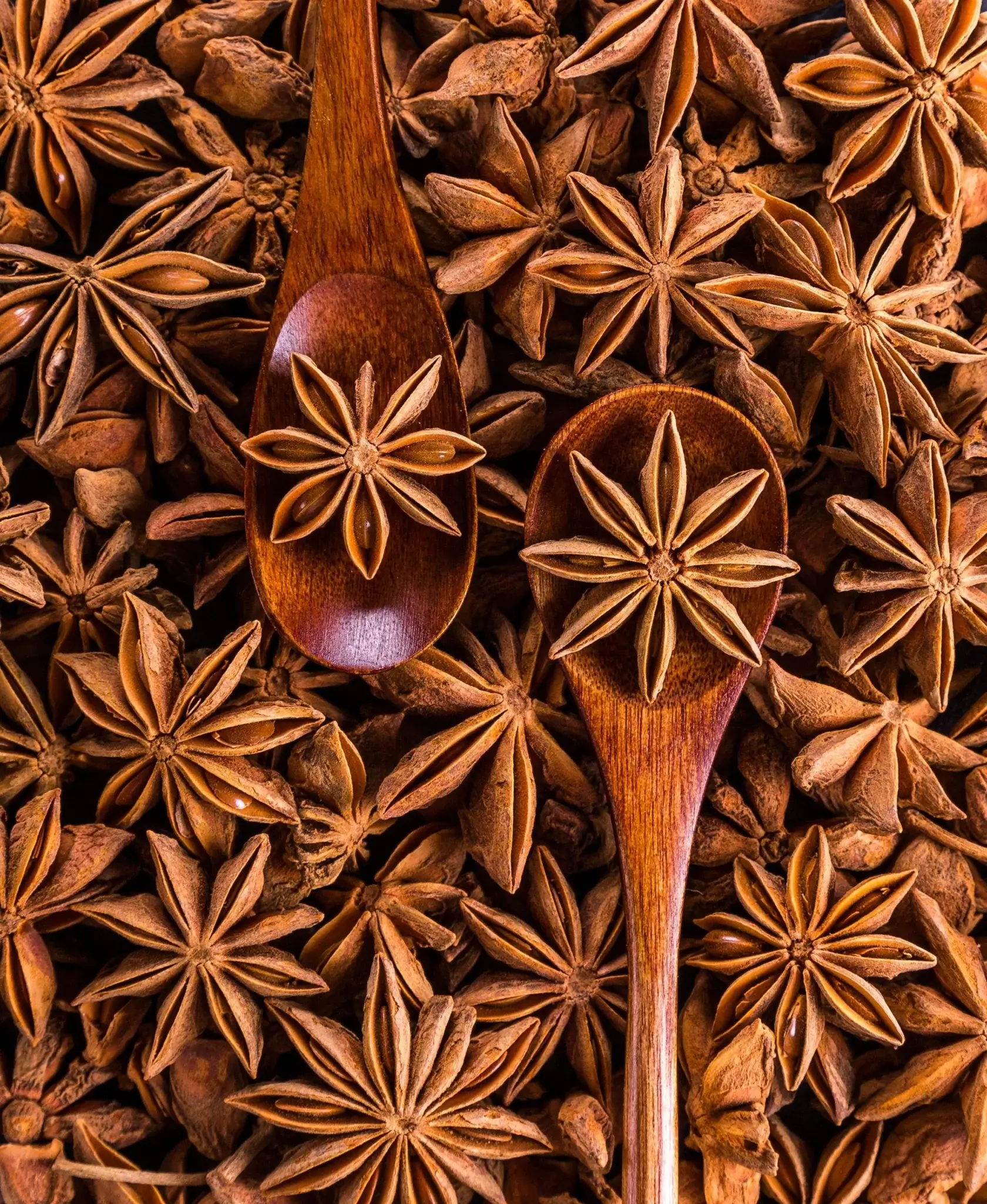 شركة نبع الودق